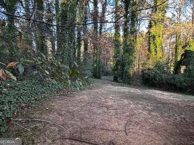7472 Woods Court Lithonia - 25