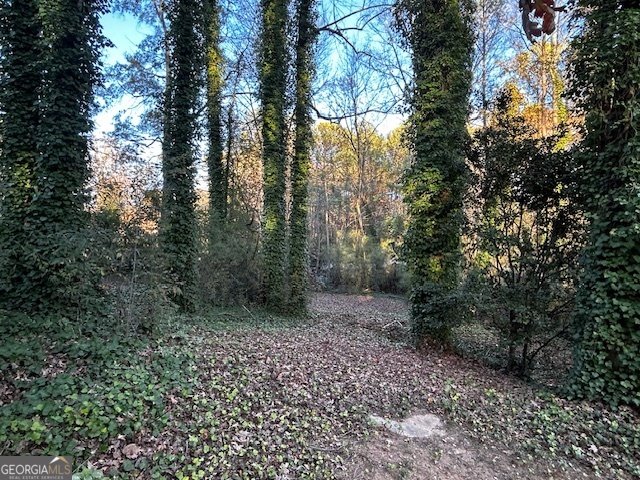 7472 Woods Court Lithonia - 26