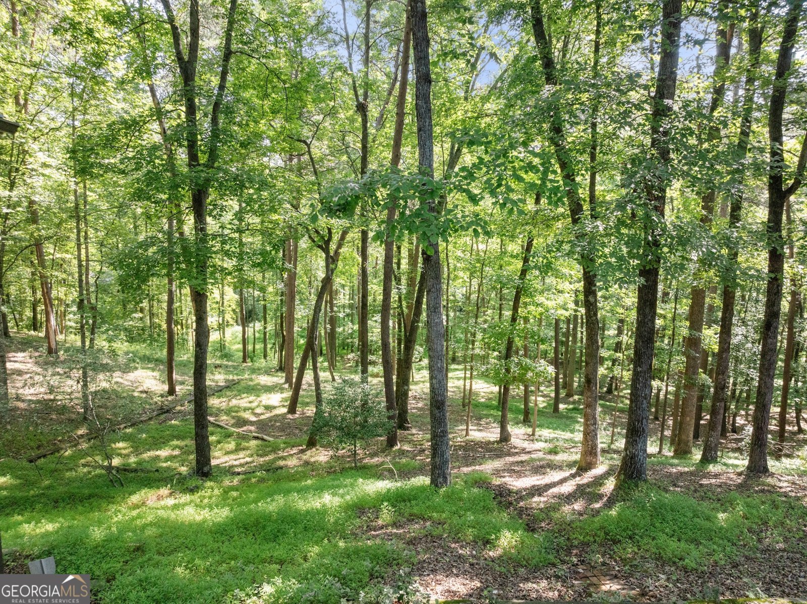 31 Willows Ct. Cleveland - 48