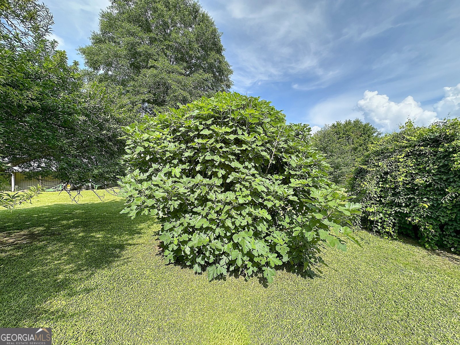 165 Bell Road Lagrange - 1