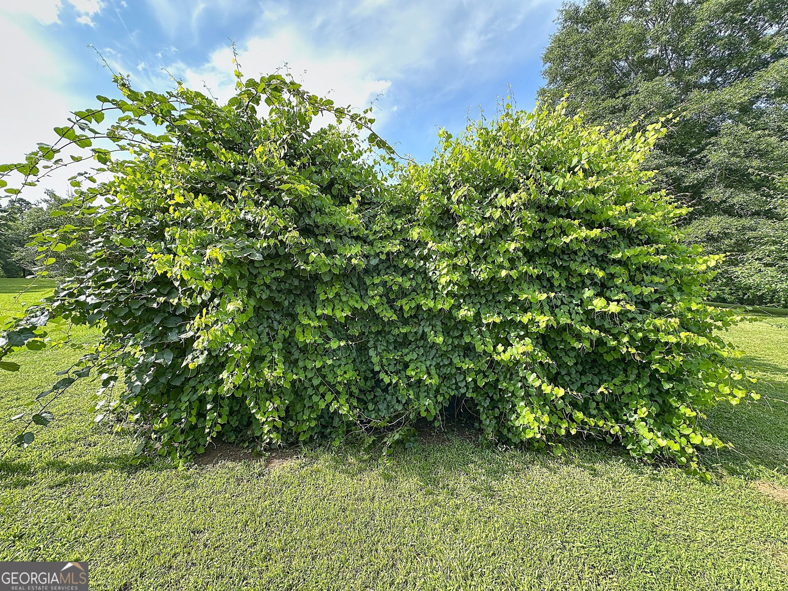 165 Bell Road Lagrange - 2