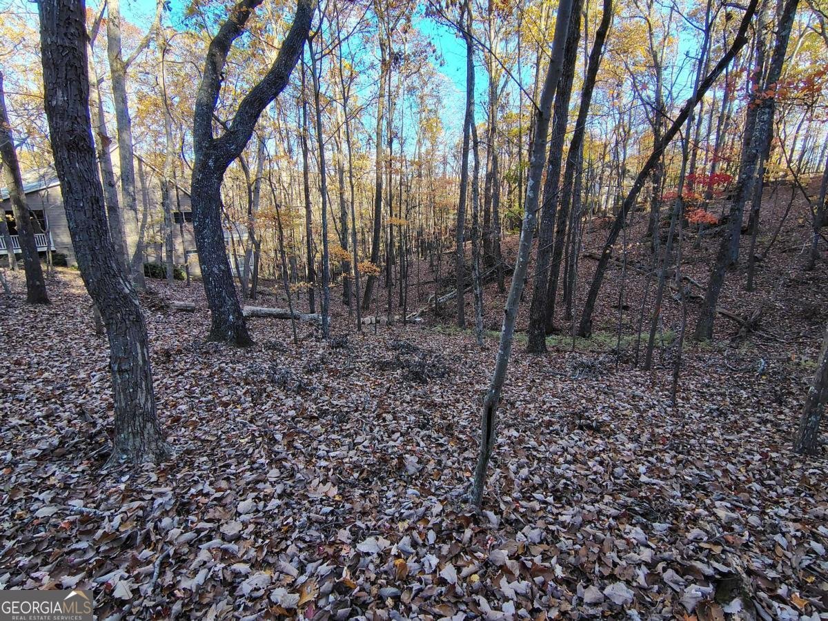26 Chestnut Oak Point Jasper - 17