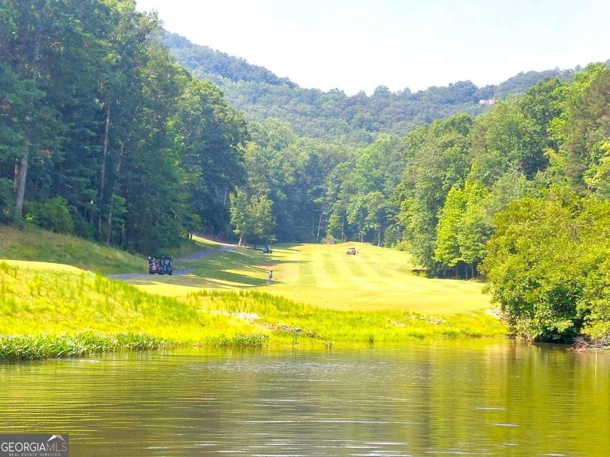 26 Chestnut Oak Point Jasper - 37