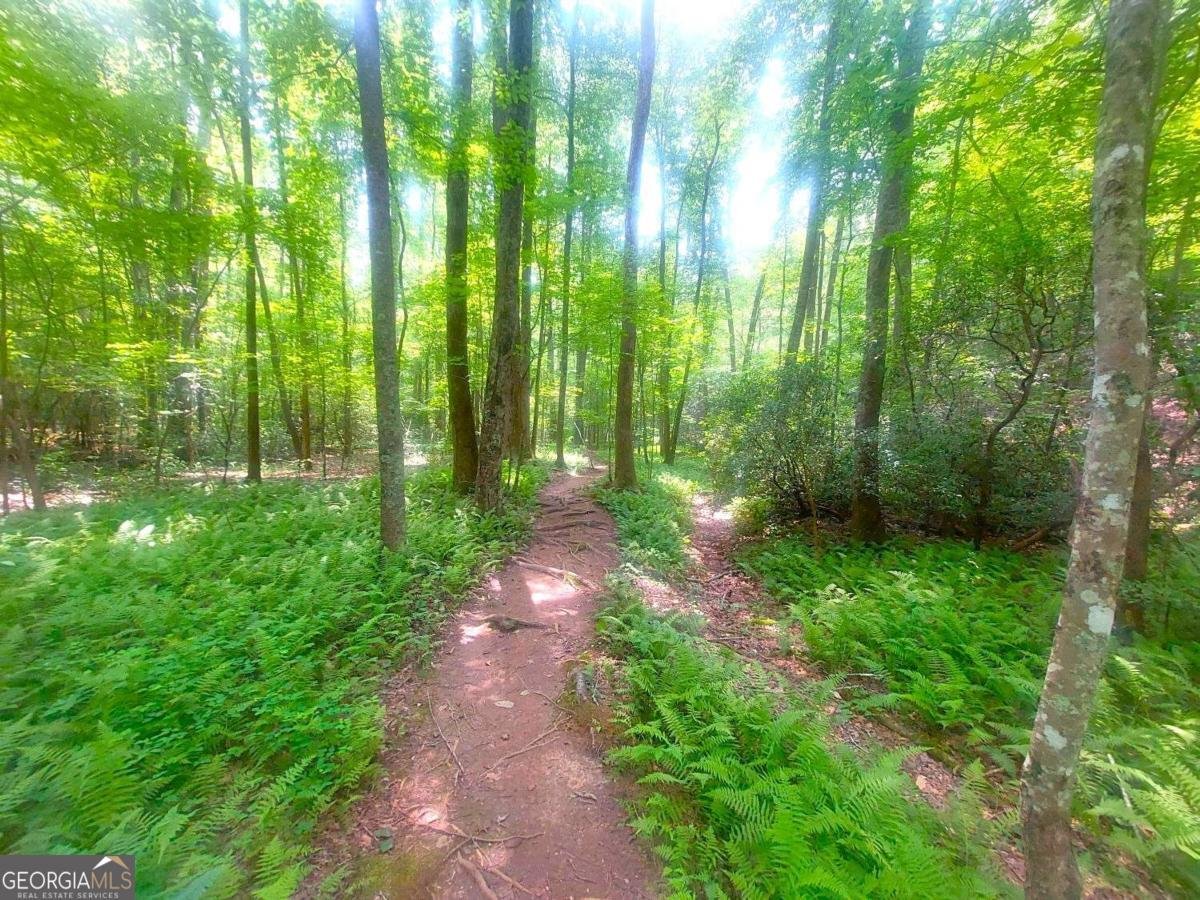 26 Chestnut Oak Point Jasper - 48