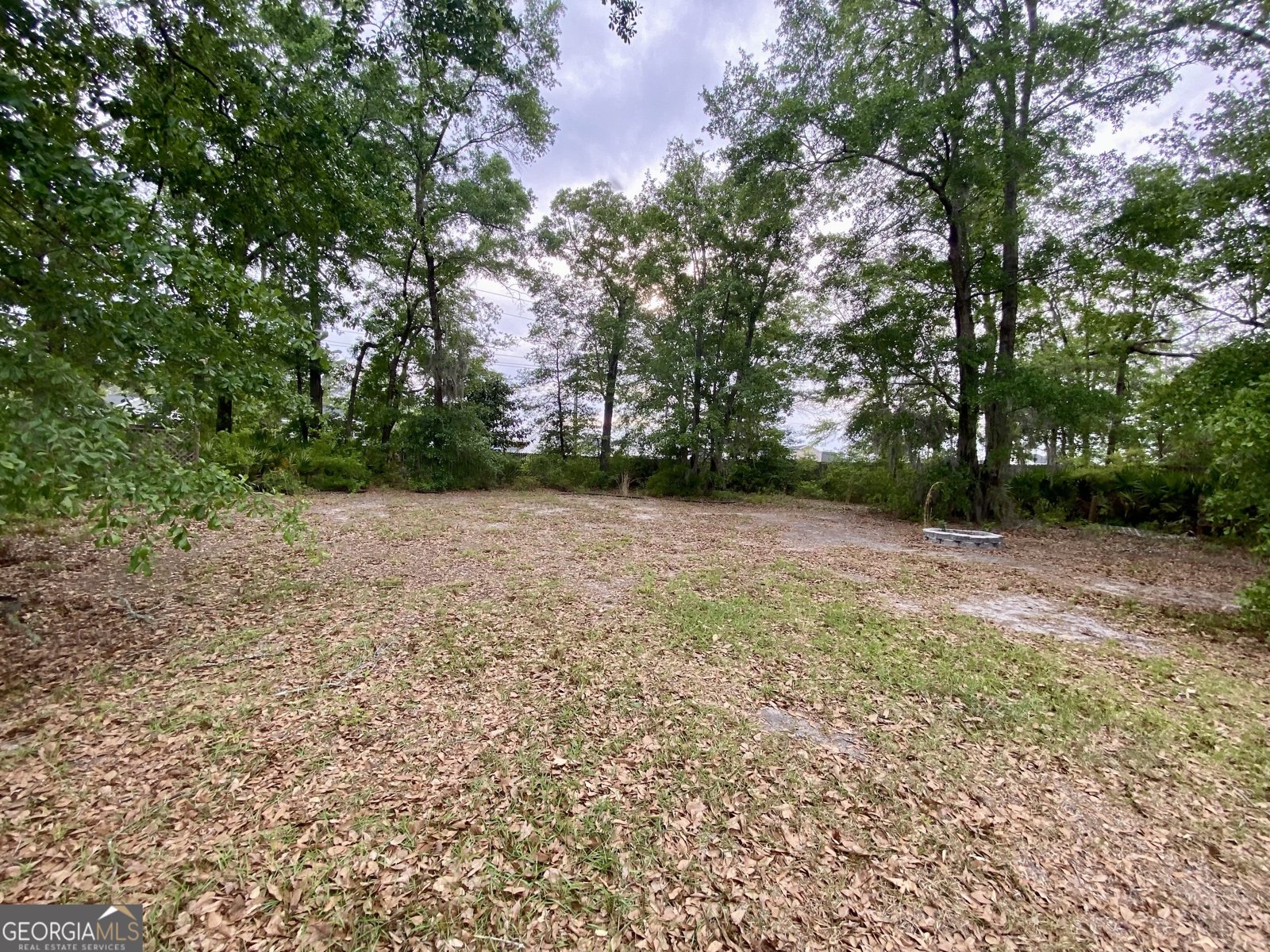 113 Bridgewood Drive Springfield - 32