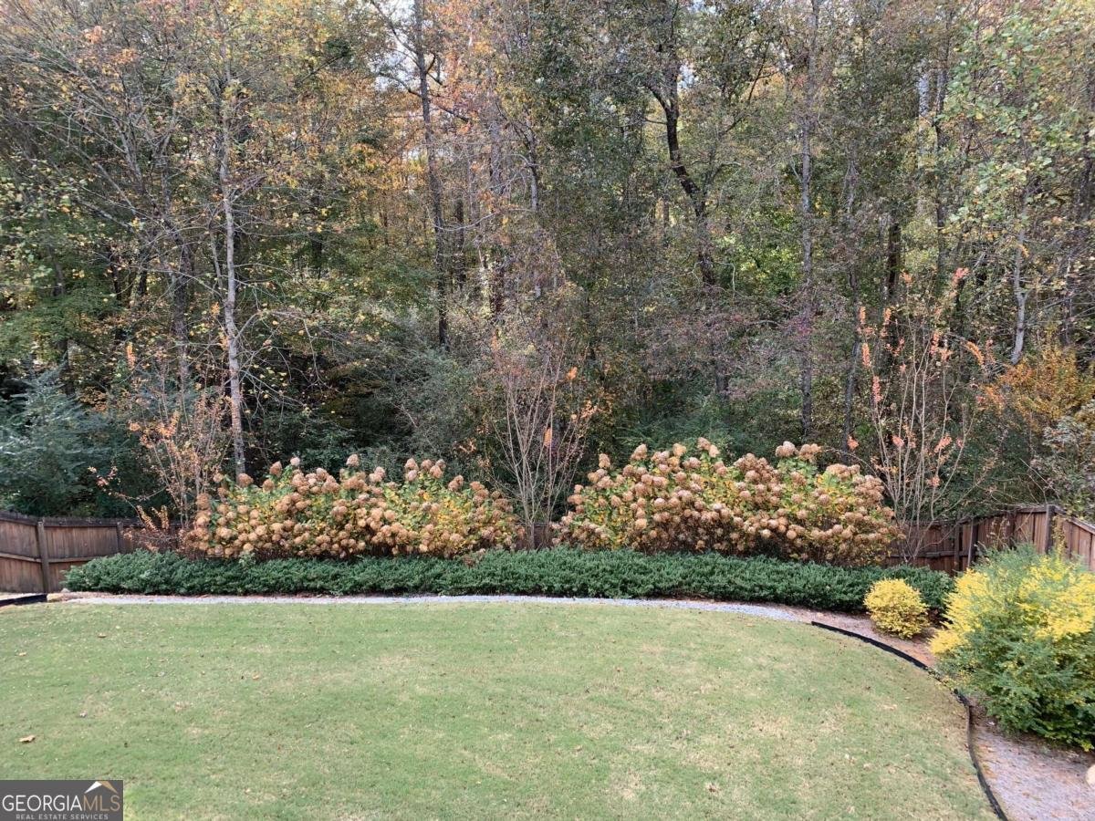6738 Brookfield Way Douglasville - 10