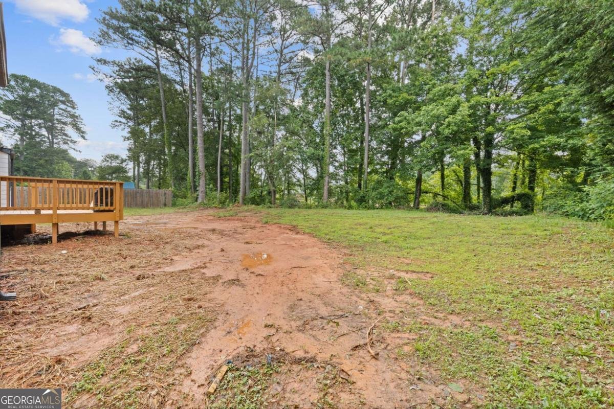 2310 Whitehead Place Drive Suwanee - 24