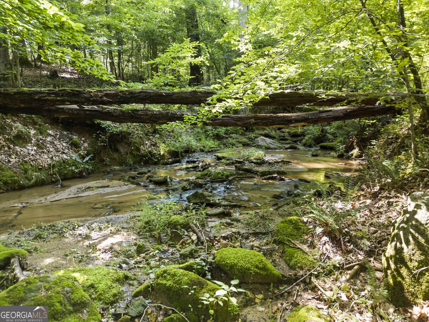 2950 Doster Road Madison - 11