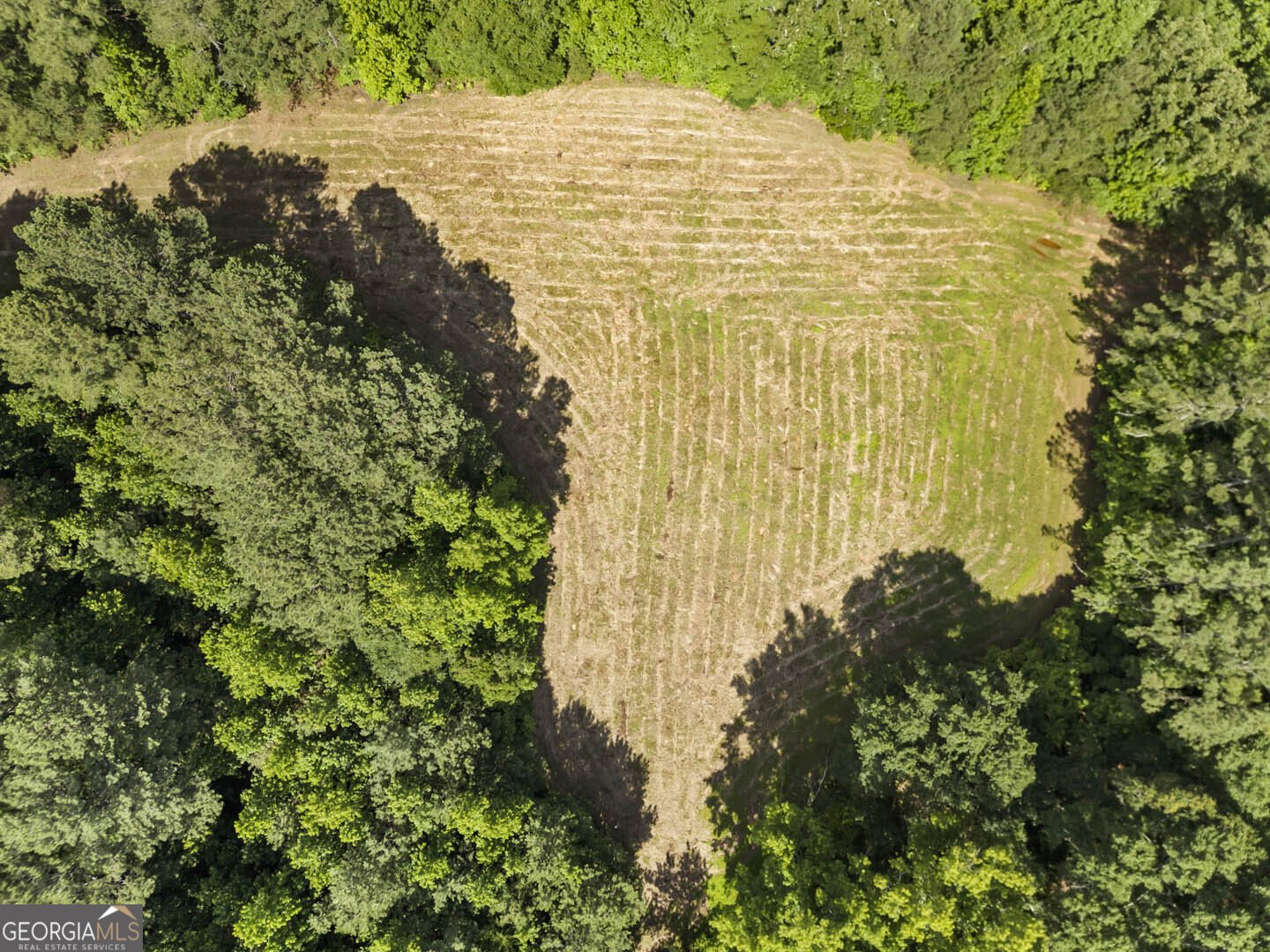 2950 Doster Road Madison - 2