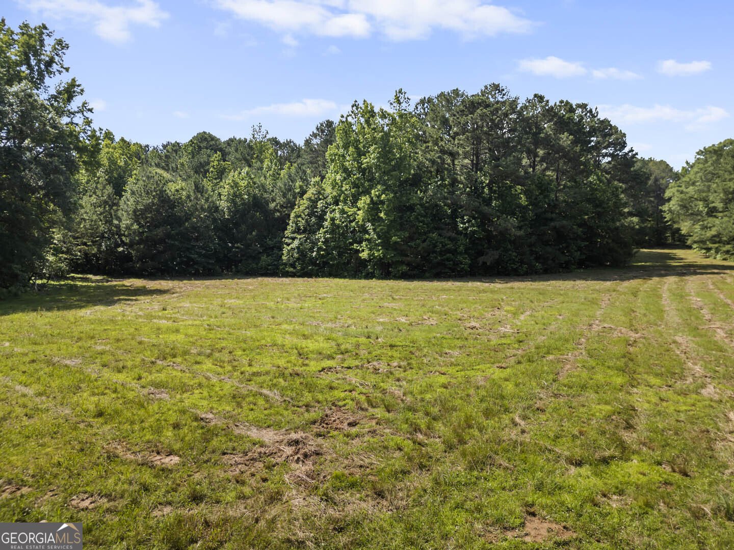 2950 Doster Road Madison - 3