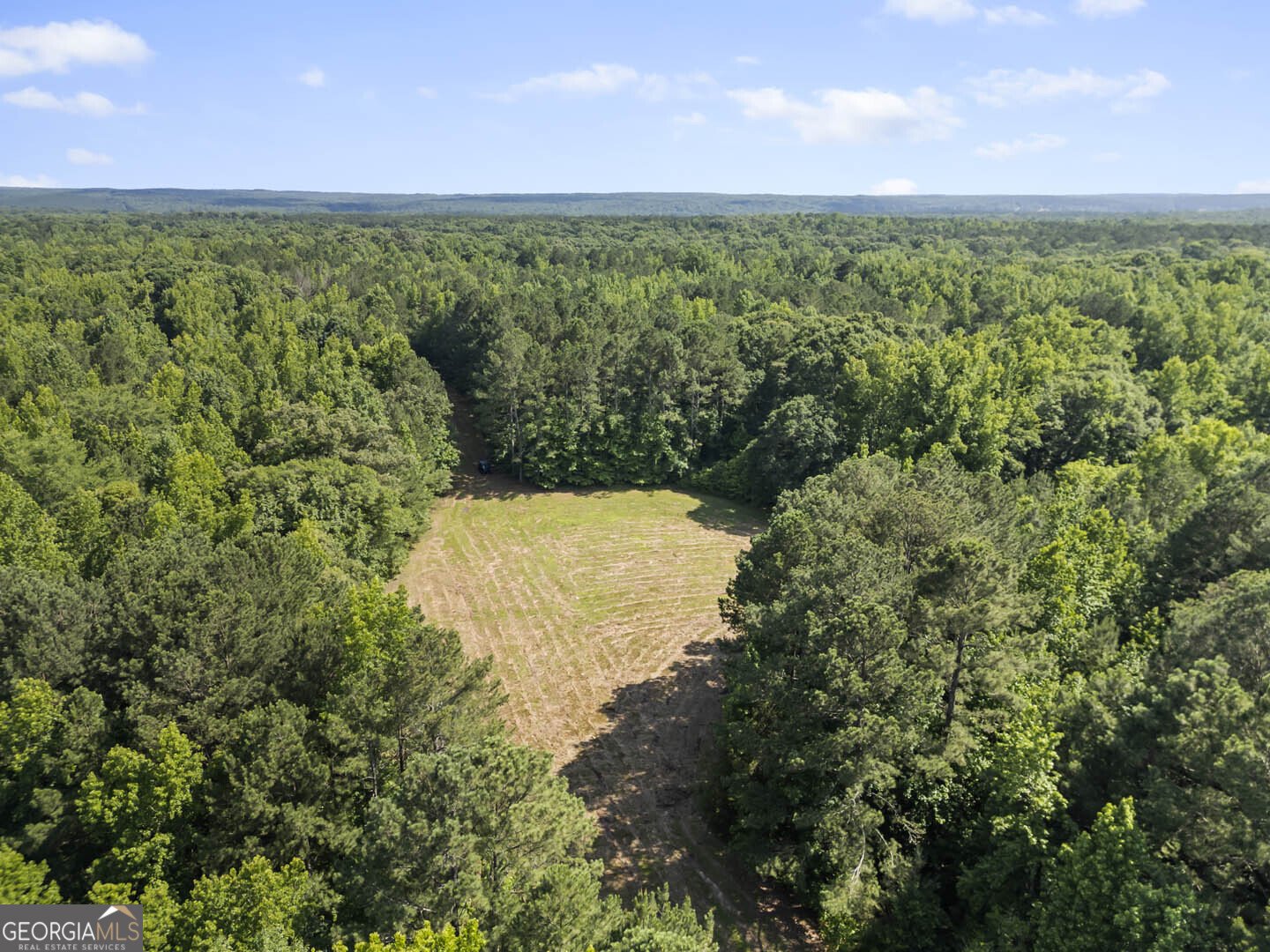 2950 Doster Road Madison - 4