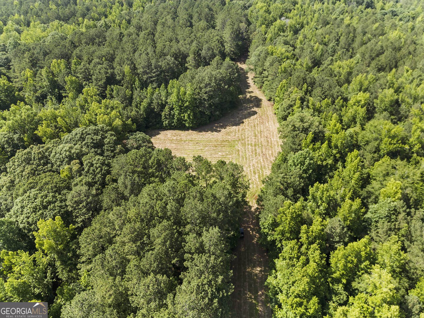 2950 Doster Road Madison - 5