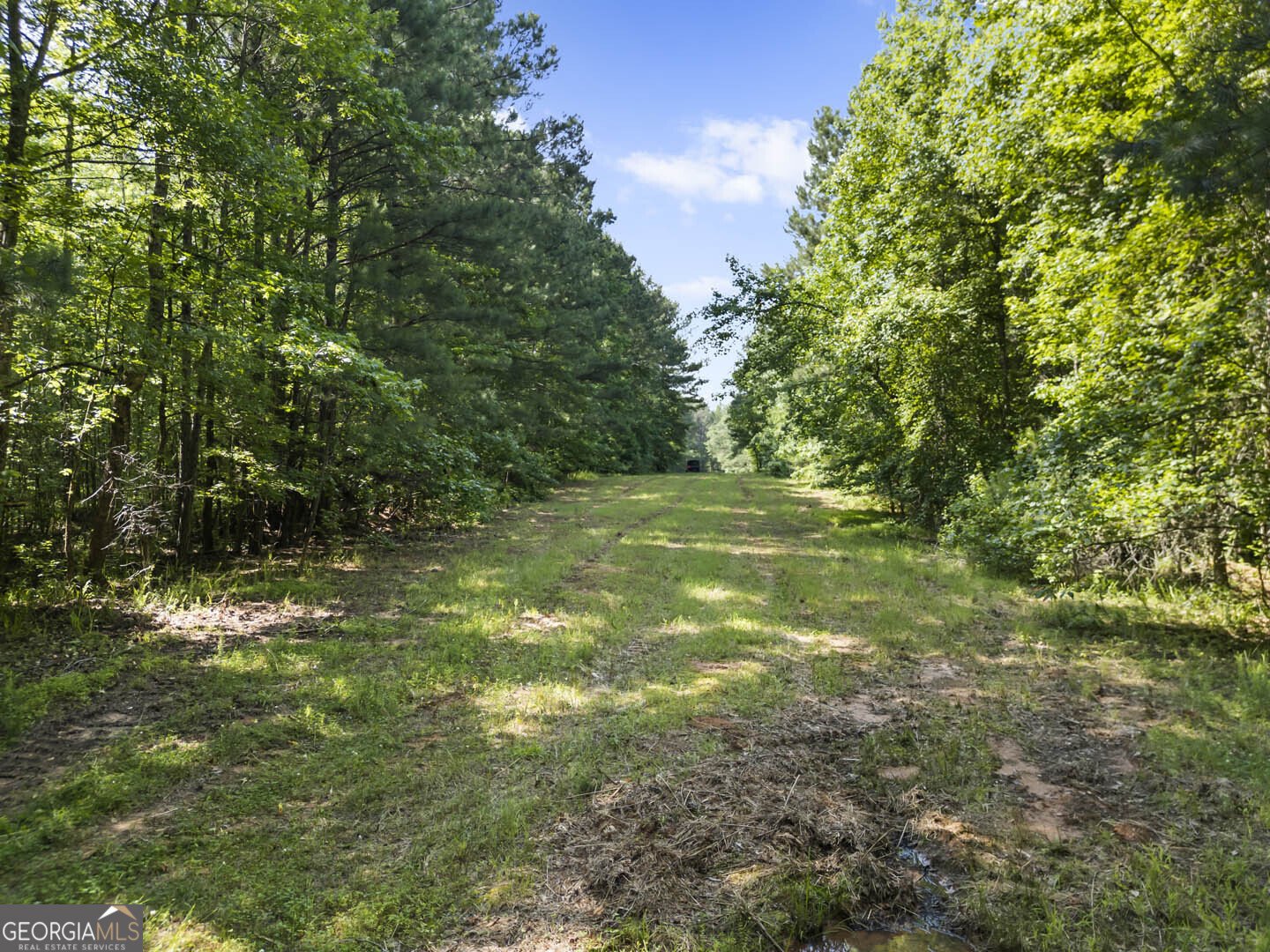 2950 Doster Road Madison - 6