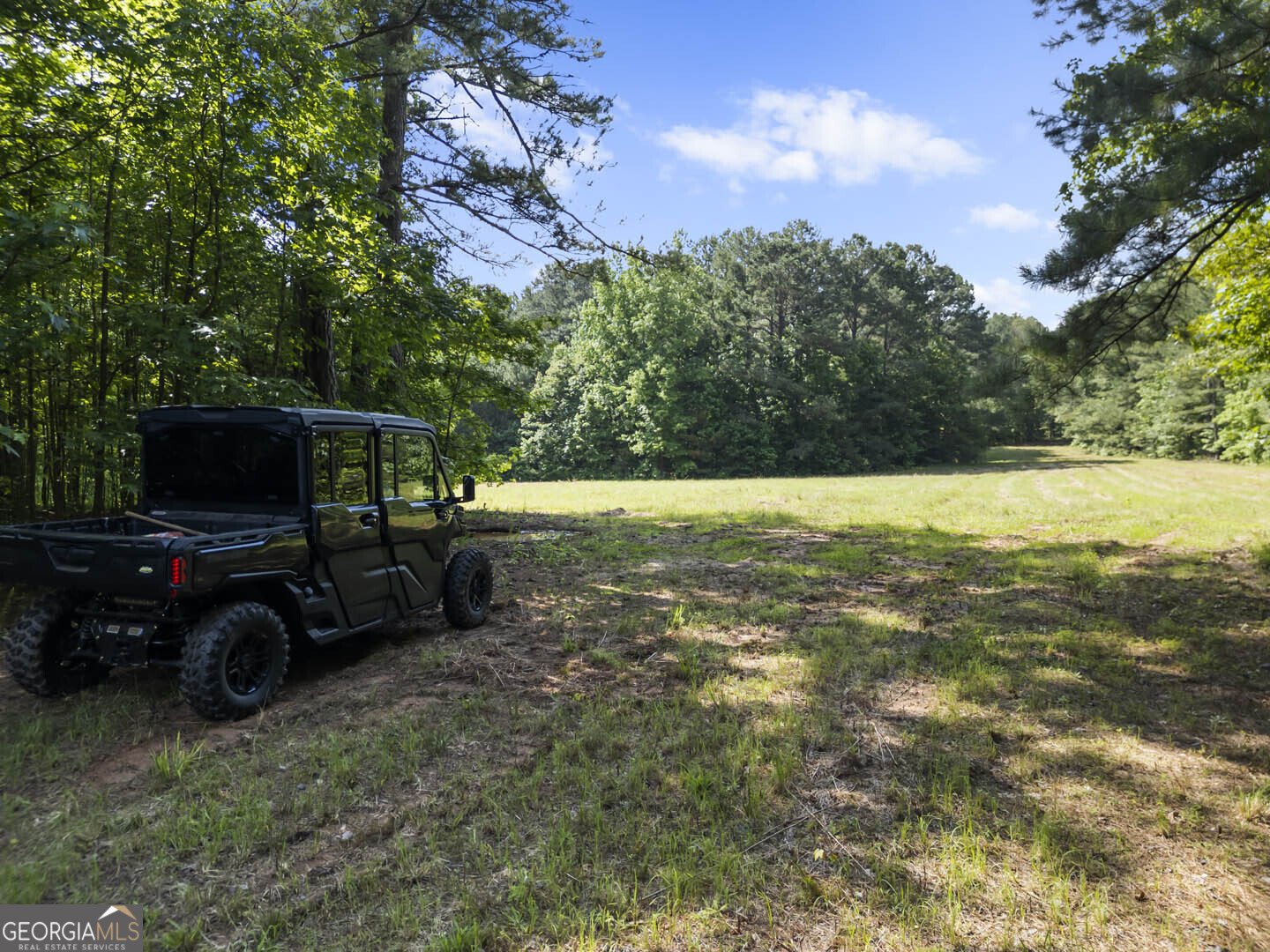 2950 Doster Road Madison - 7