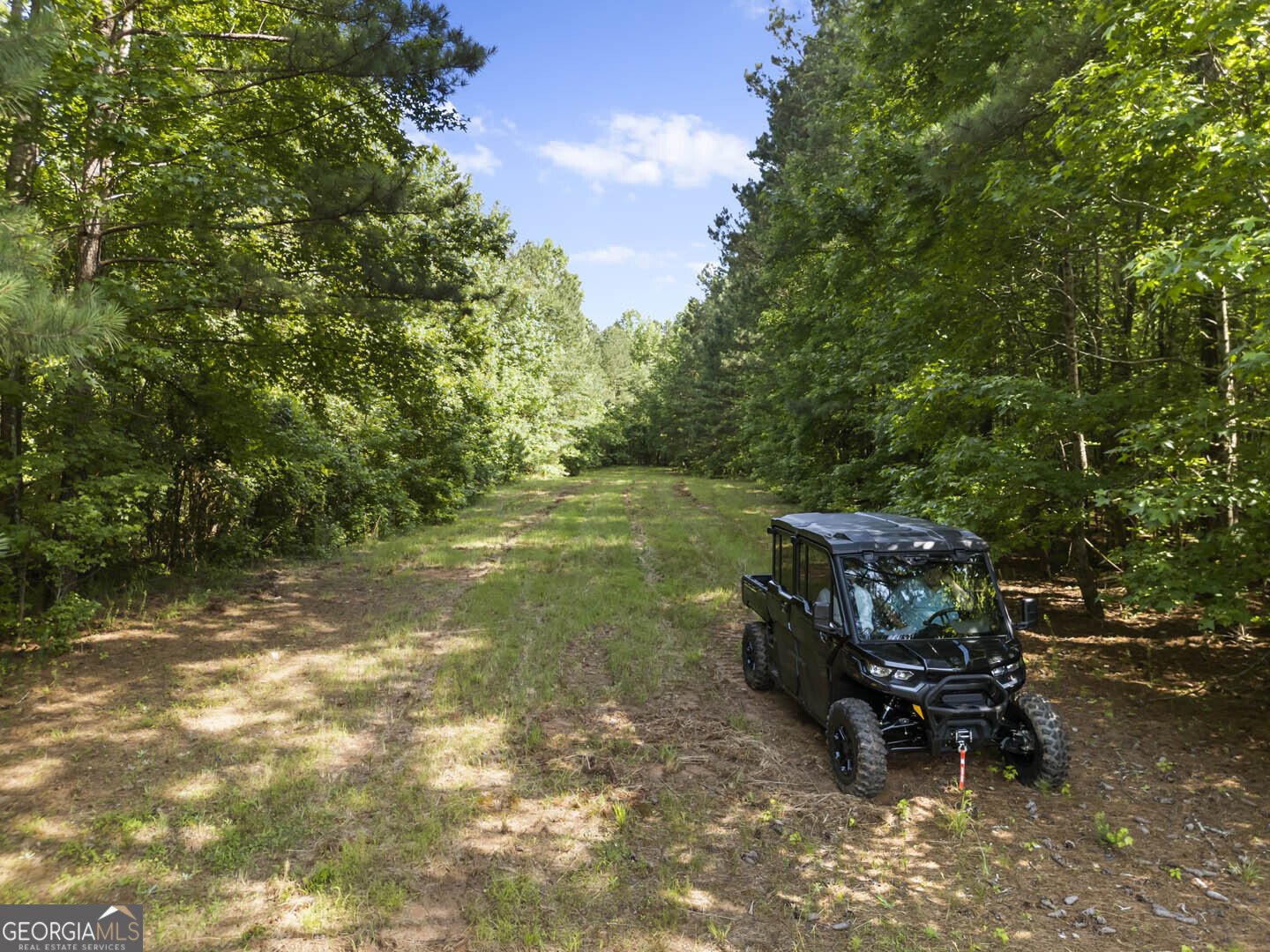 2950 Doster Road Madison - 8