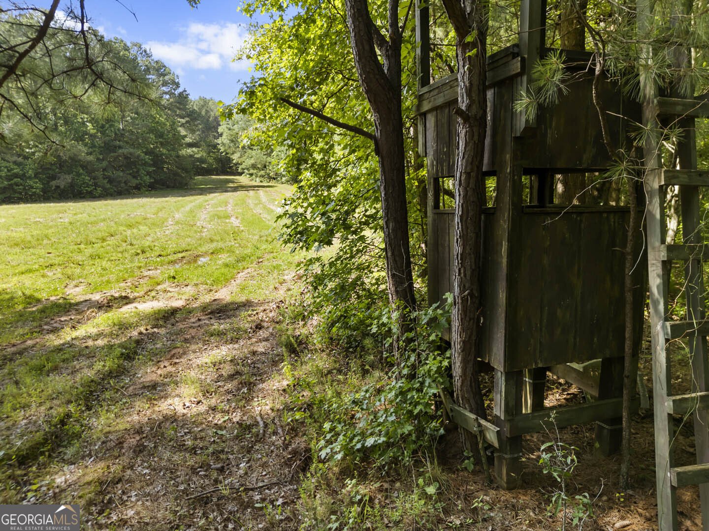 2950 Doster Road Madison - 9