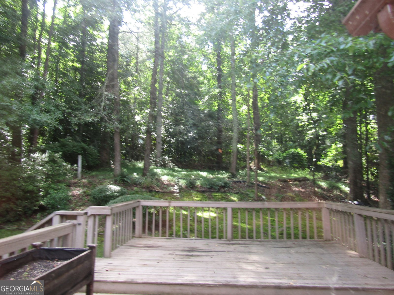 5820 Elm Tree Dr. Buford - 52