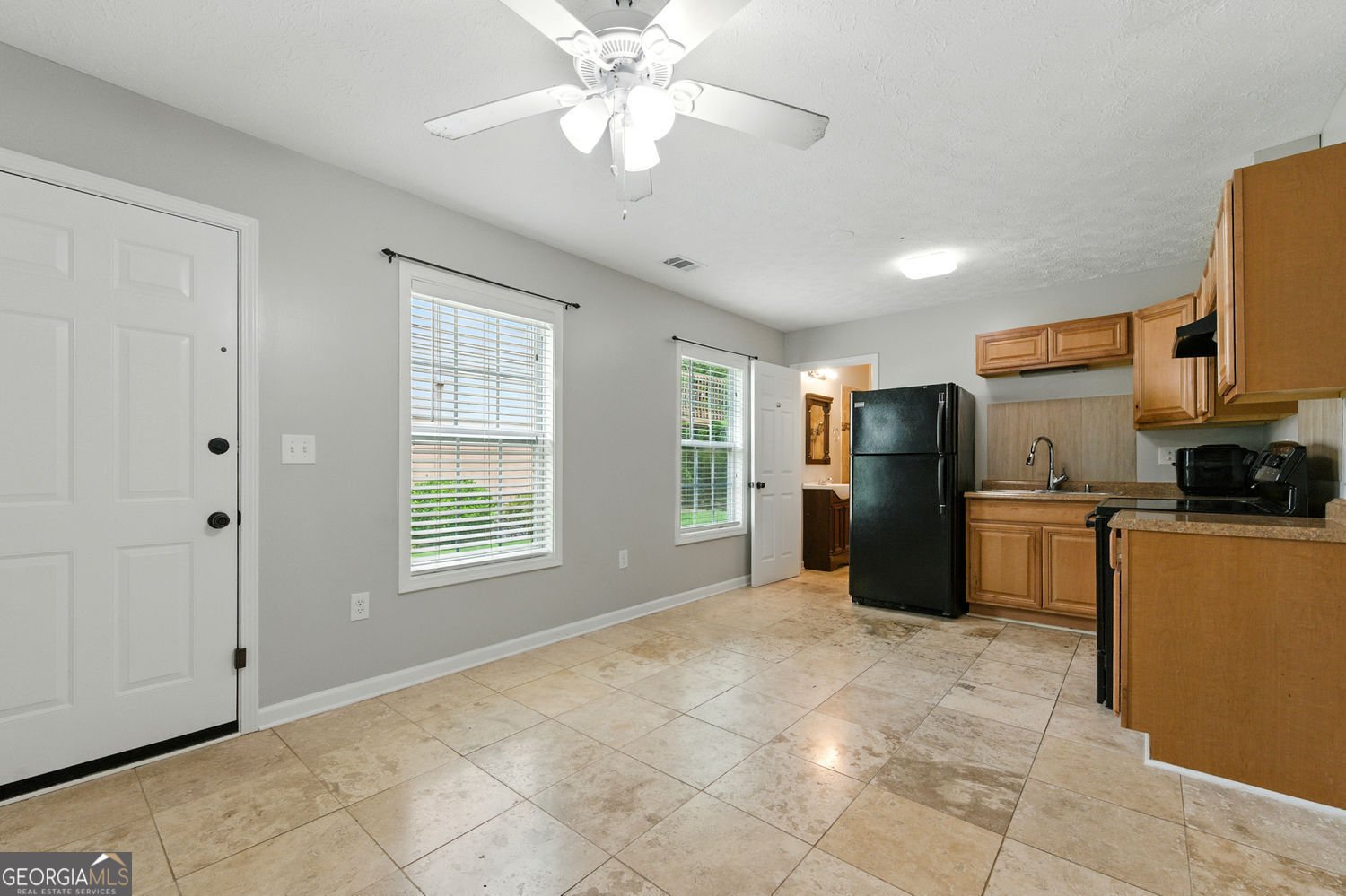 314 Spring Falls Drive Lawrenceville - 29