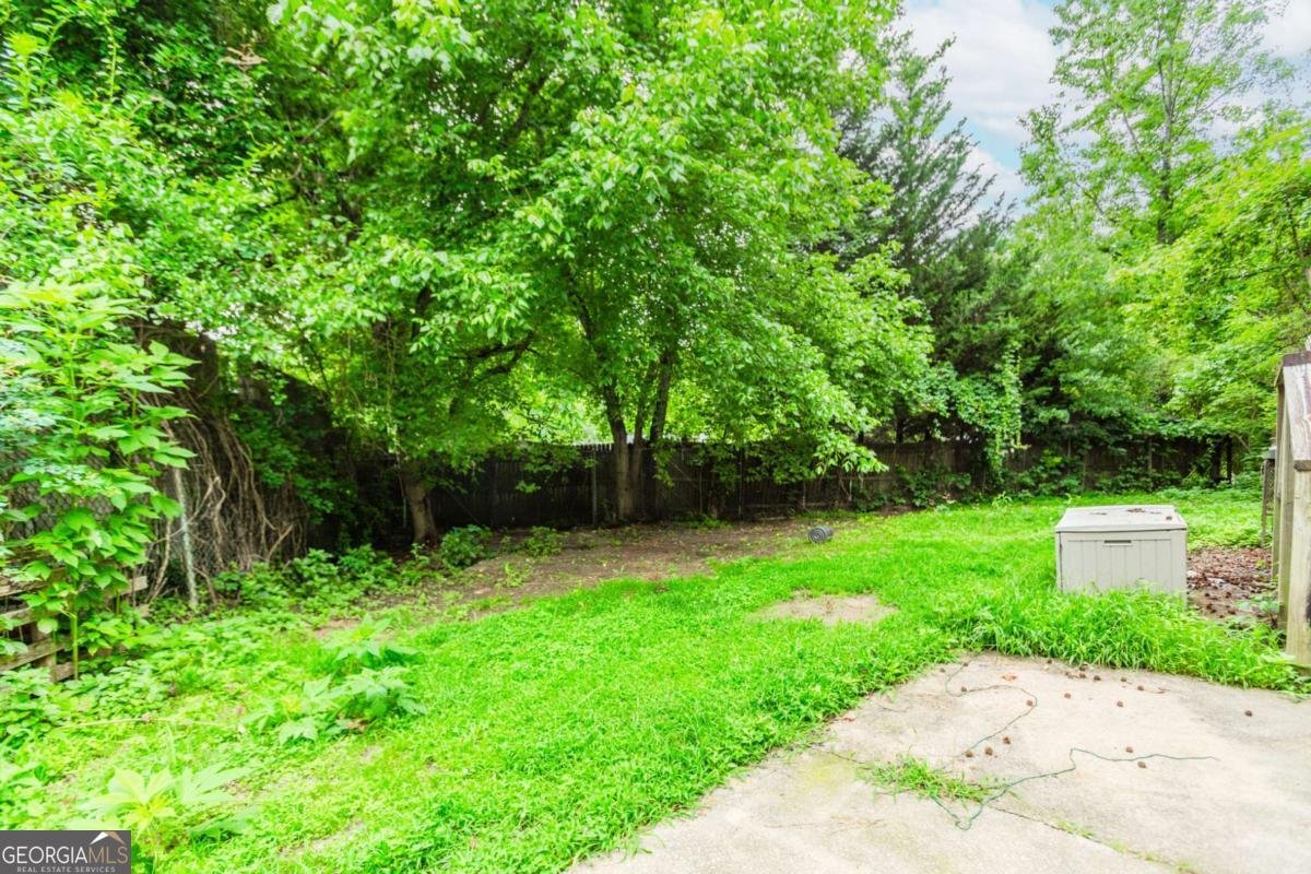 3133 Cottonwood Drive Atlanta - 21