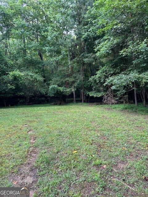 119 Ezra Court Ellijay - 35