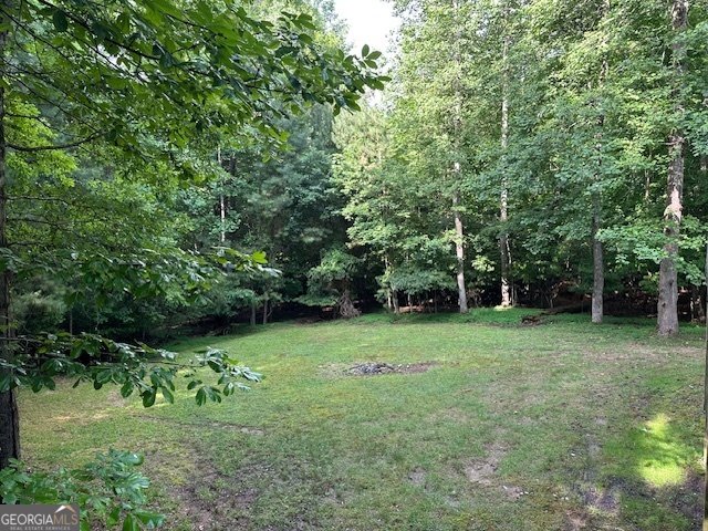 119 Ezra Court Ellijay - 4