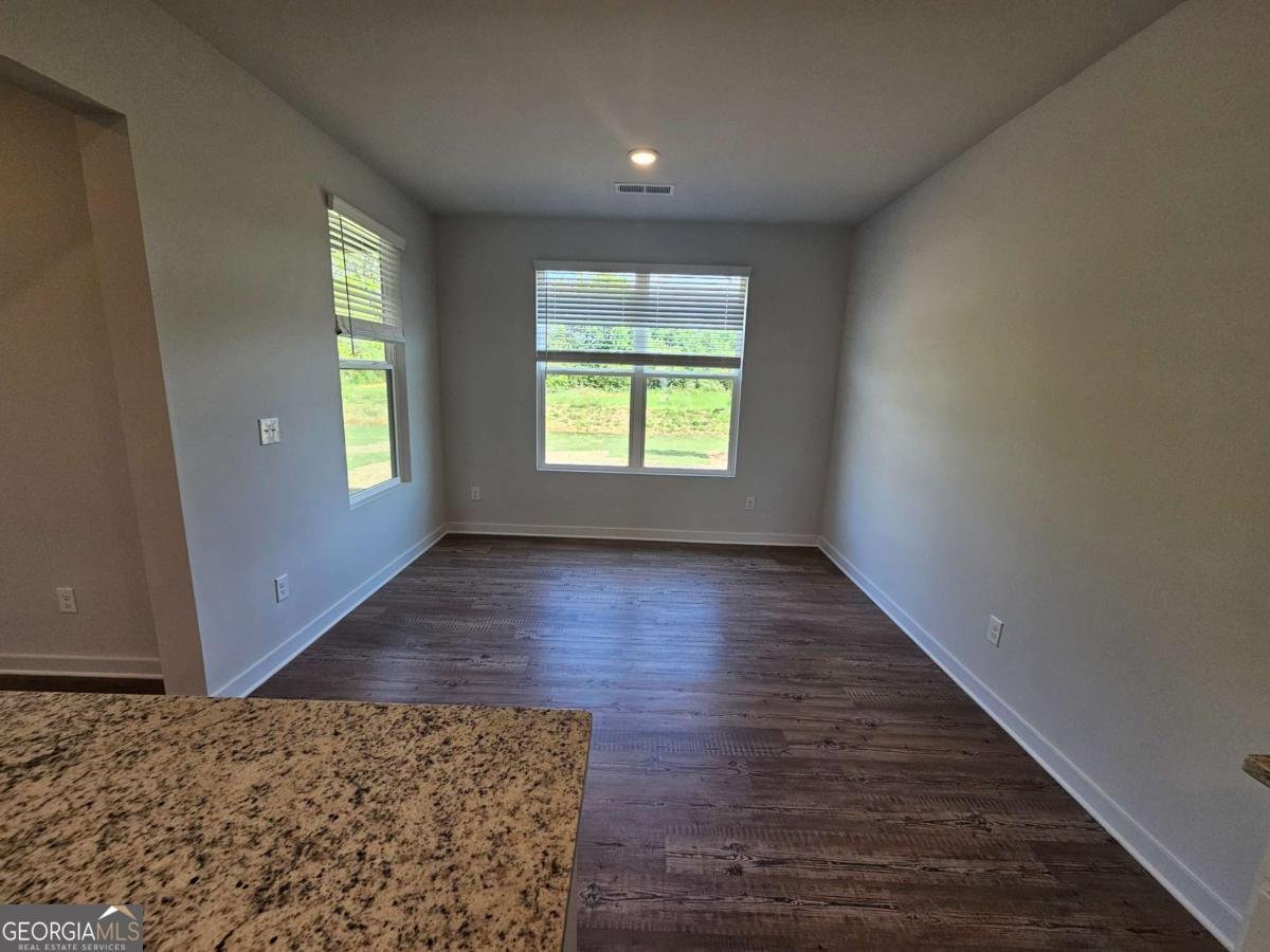 7255 Waggamon Way Dawsonville - 15