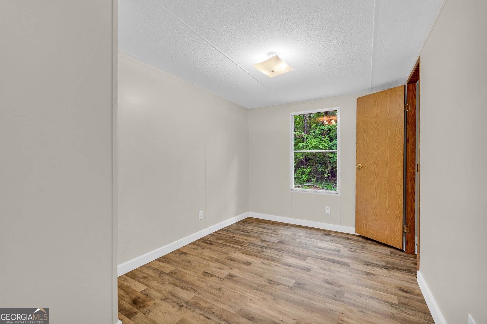 162 Stillwater Road Lavonia - 10