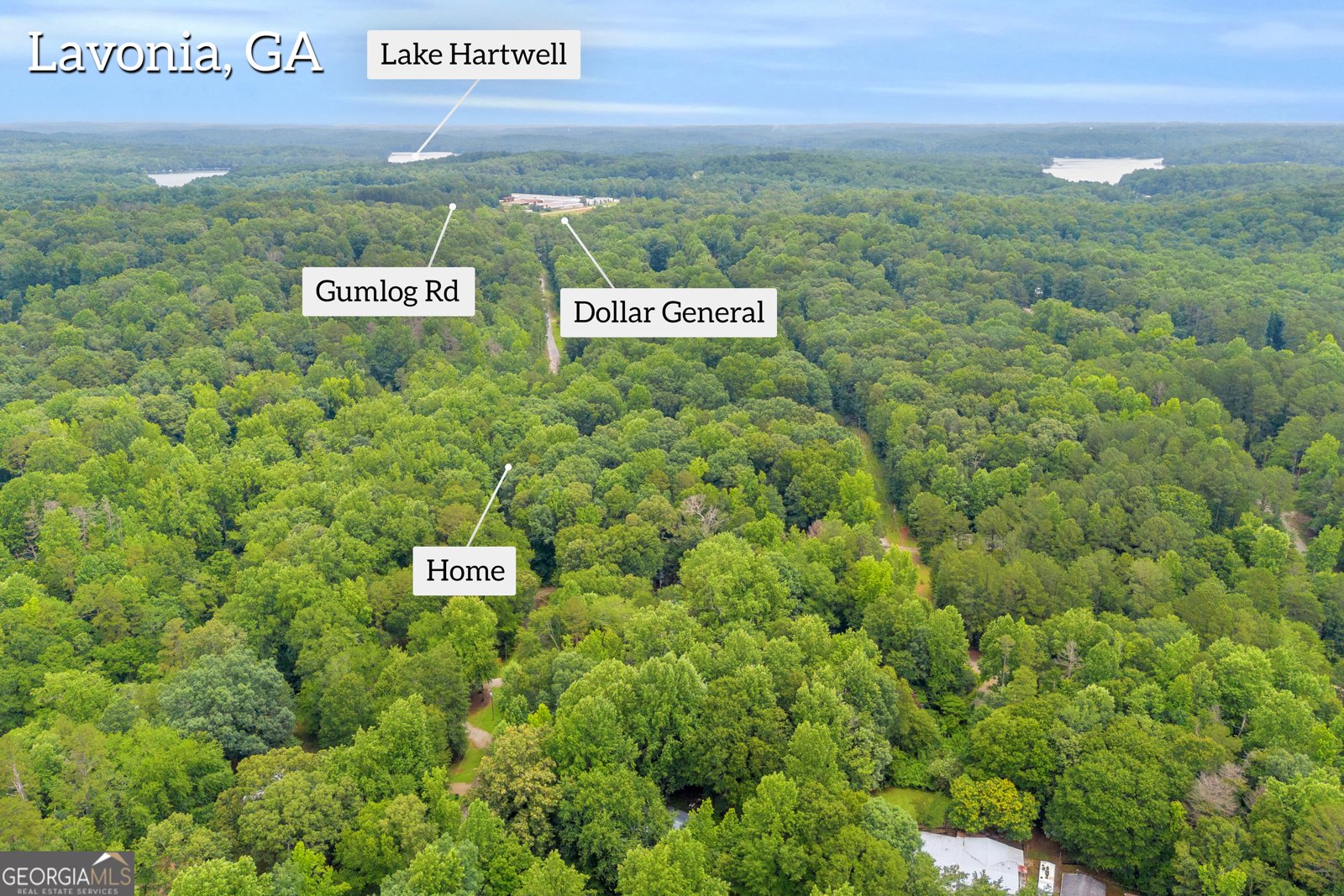162 Stillwater Road Lavonia - 39