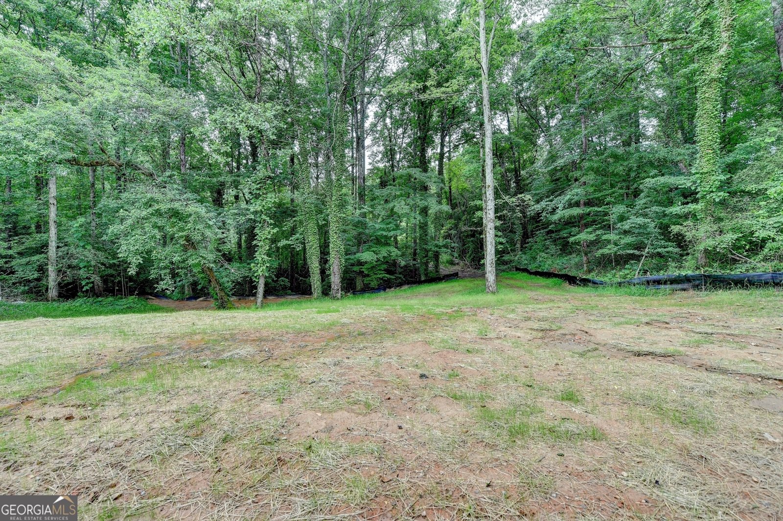 5371 WG Robinson Road Gainesville - 48