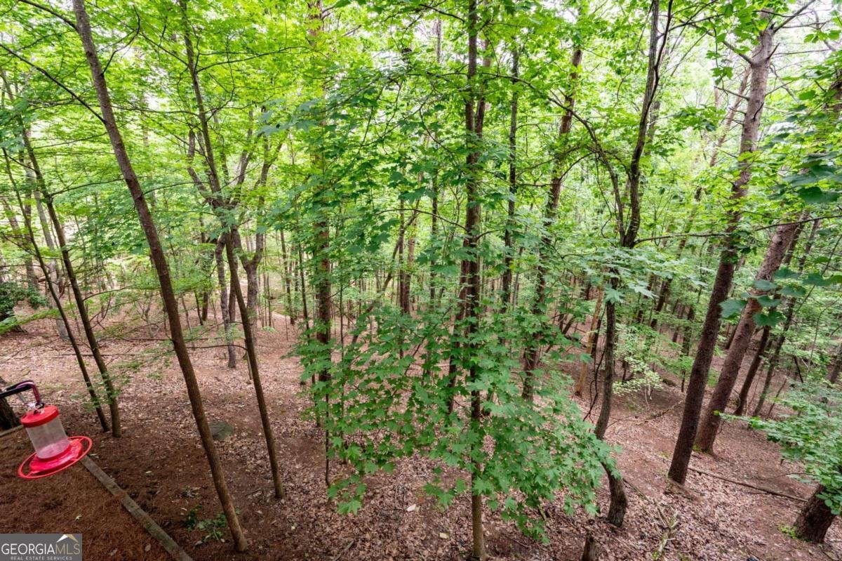140 Indian Ridge Court Waleska - 34