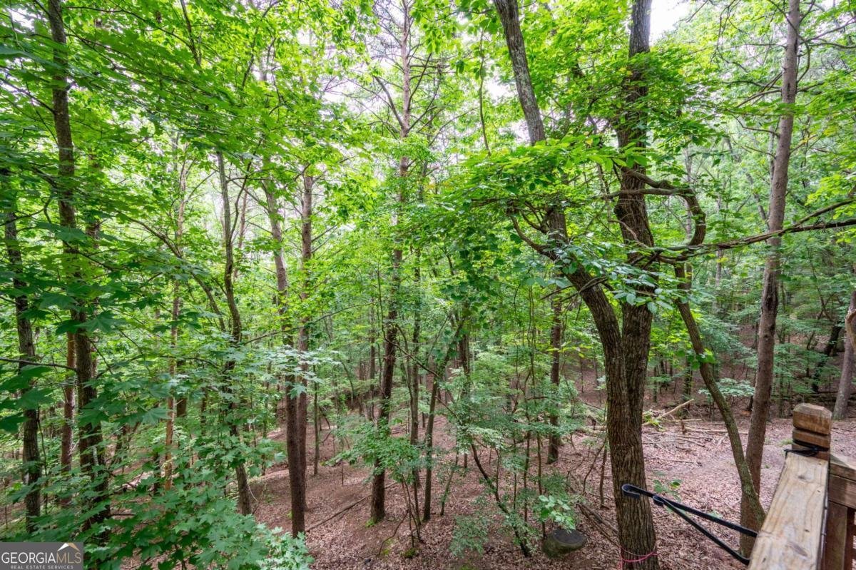 140 Indian Ridge Court Waleska - 35