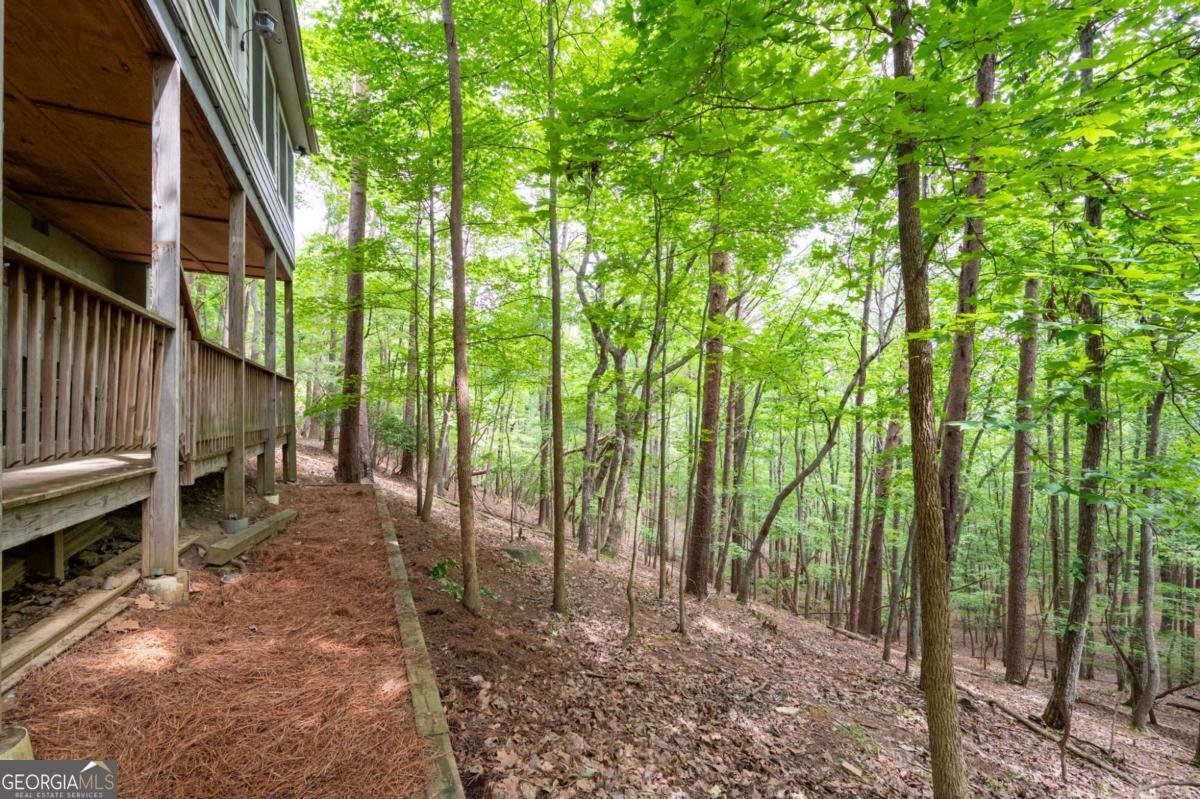 140 Indian Ridge Court Waleska - 36