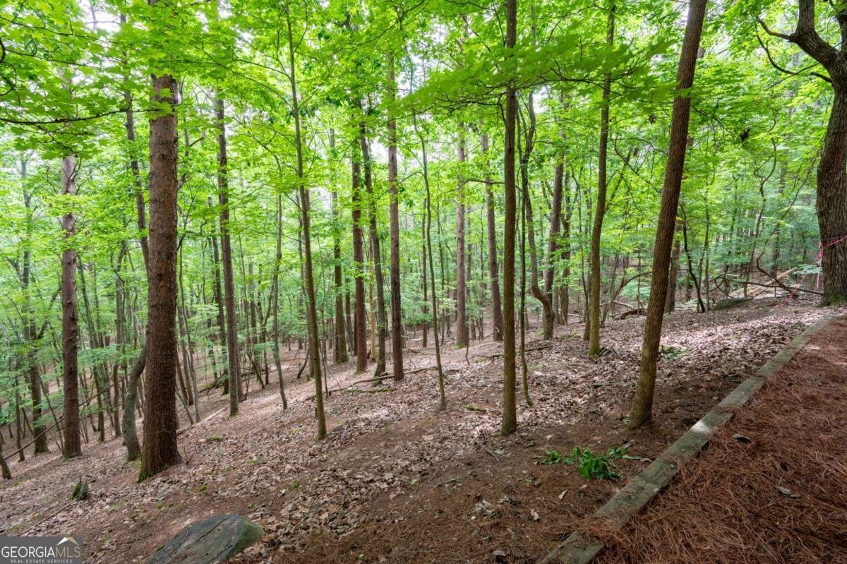 140 Indian Ridge Court Waleska - 37