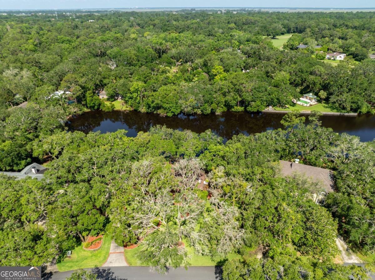105 Driftwood Place St. Simons - 13