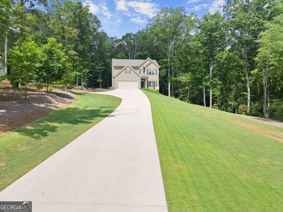 382 Candler Lane Dawsonville - 1
