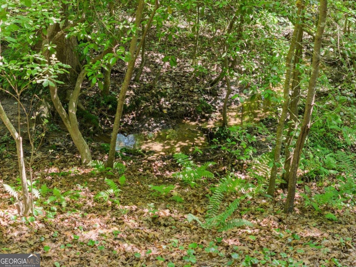 382 Candler Lane Dawsonville - 36