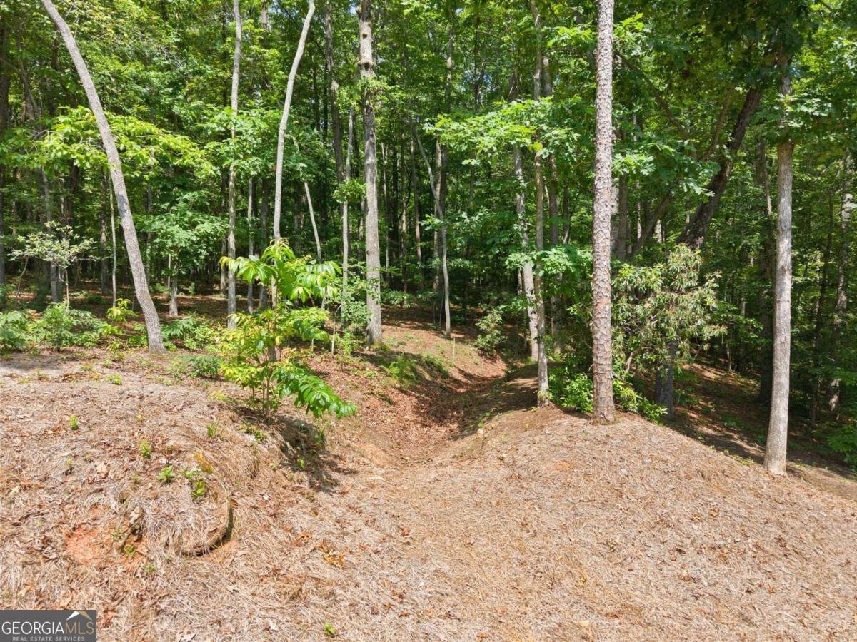 382 Candler Lane Dawsonville - 37