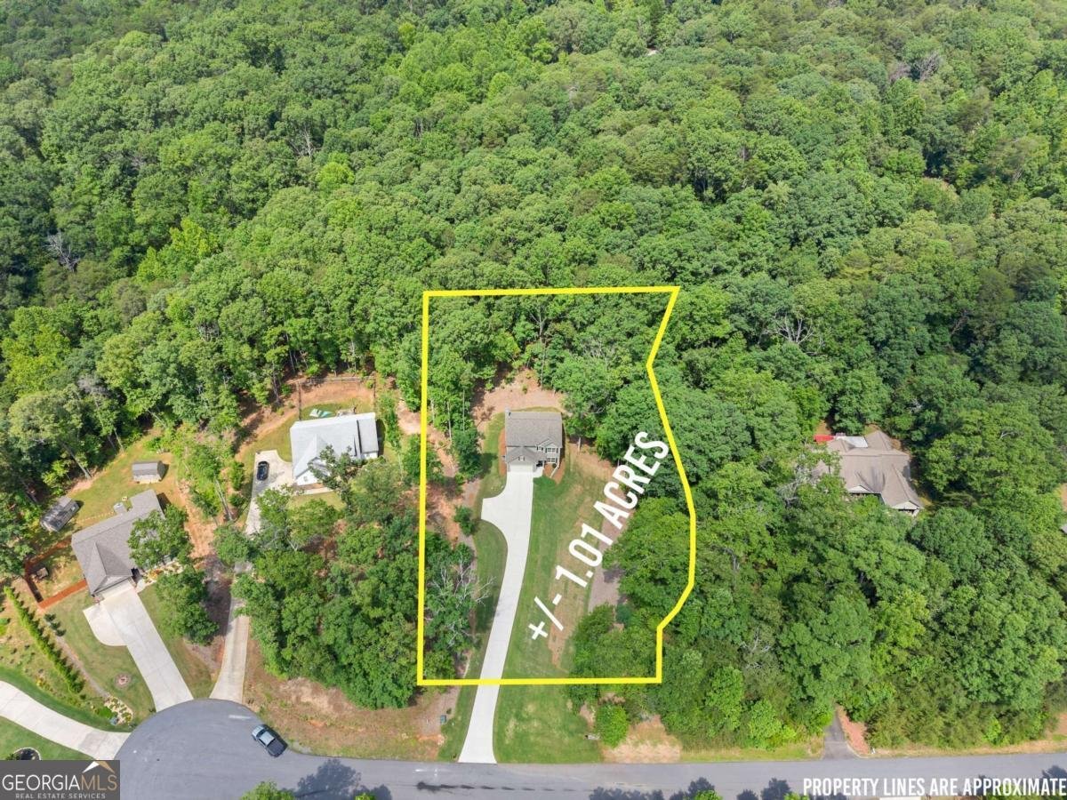 382 Candler Lane Dawsonville - 43