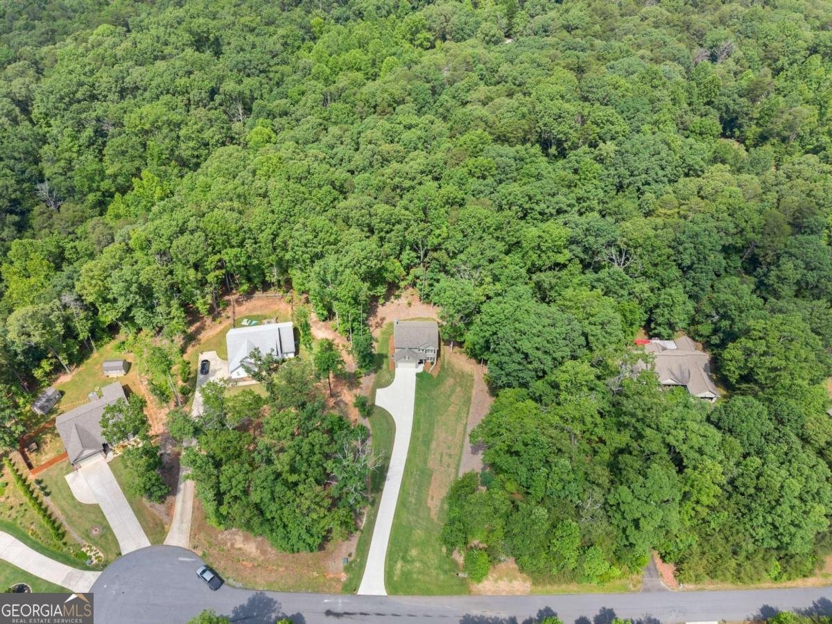 382 Candler Lane Dawsonville - 44