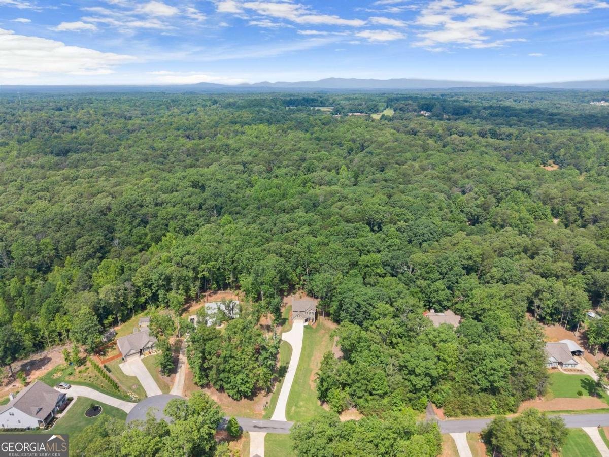 382 Candler Lane Dawsonville - 45