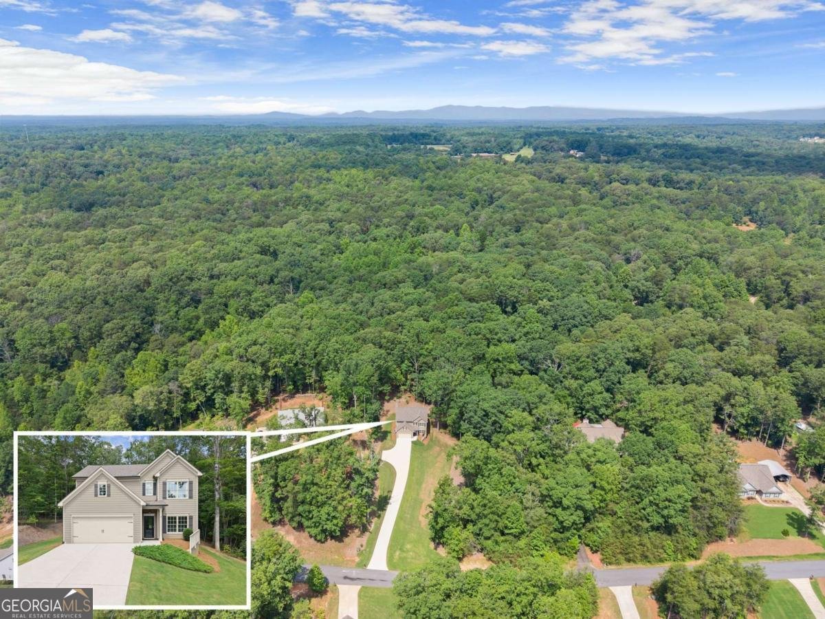 382 Candler Lane Dawsonville - 46