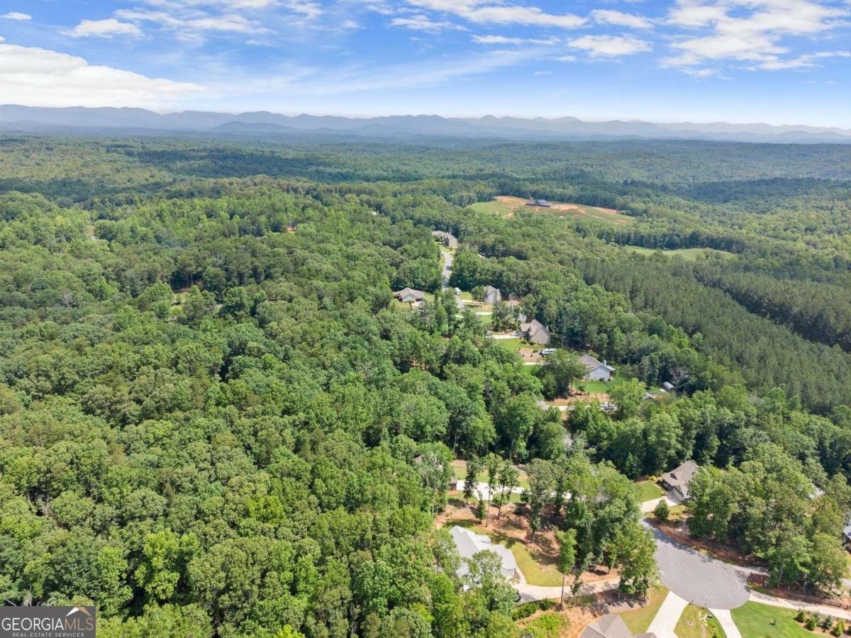 382 Candler Lane Dawsonville - 48
