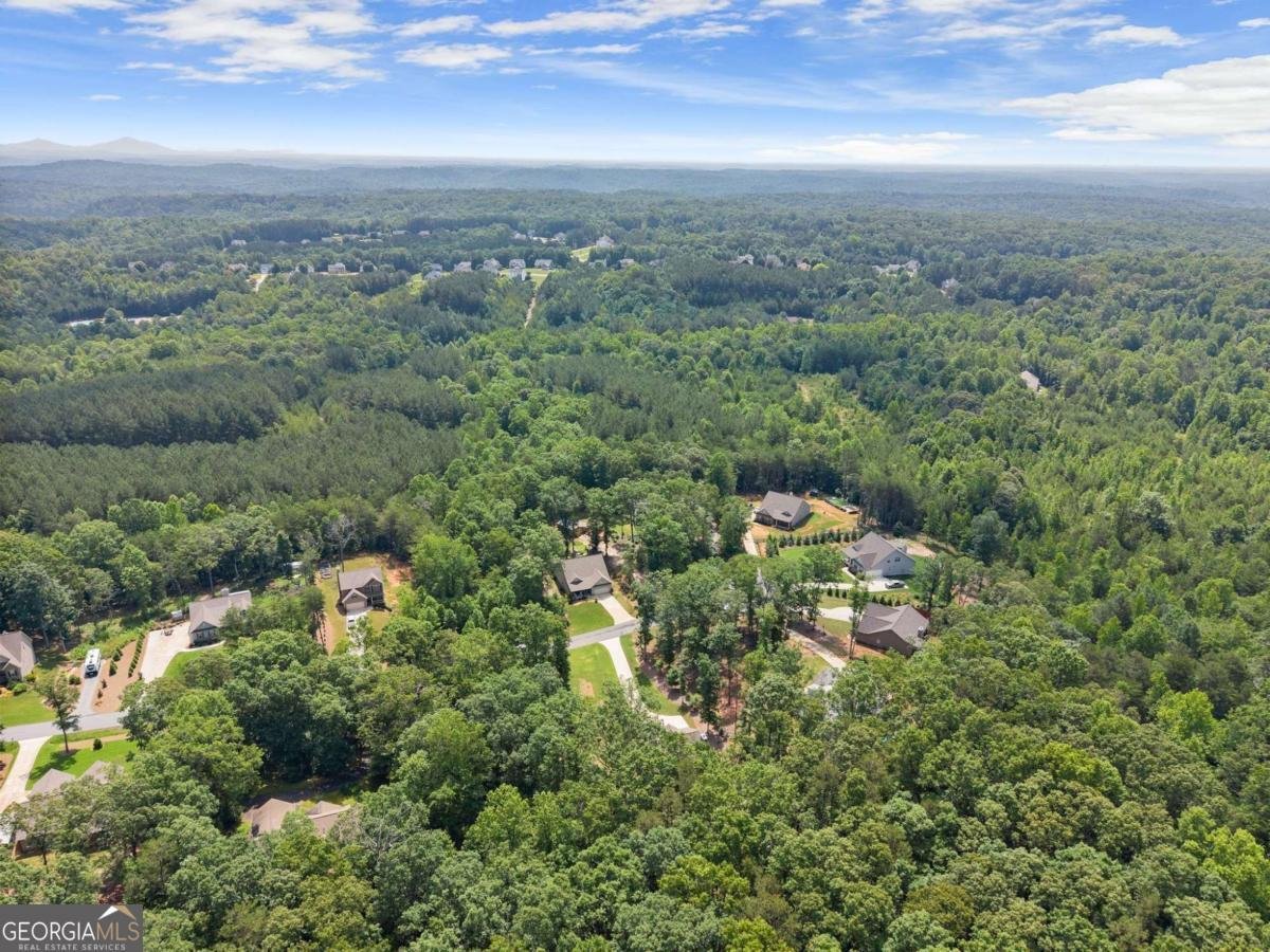 382 Candler Lane Dawsonville - 49