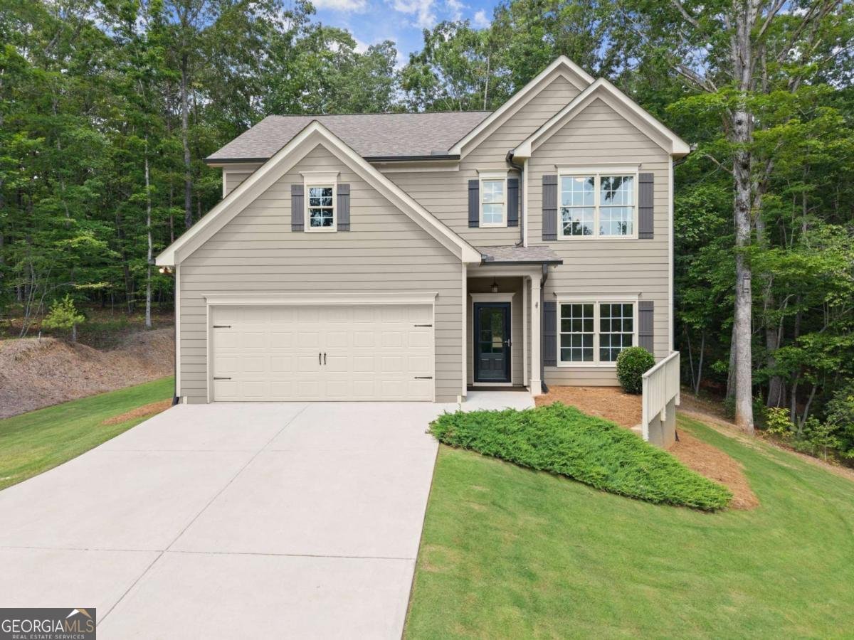 382 Candler Lane Dawsonville - 6