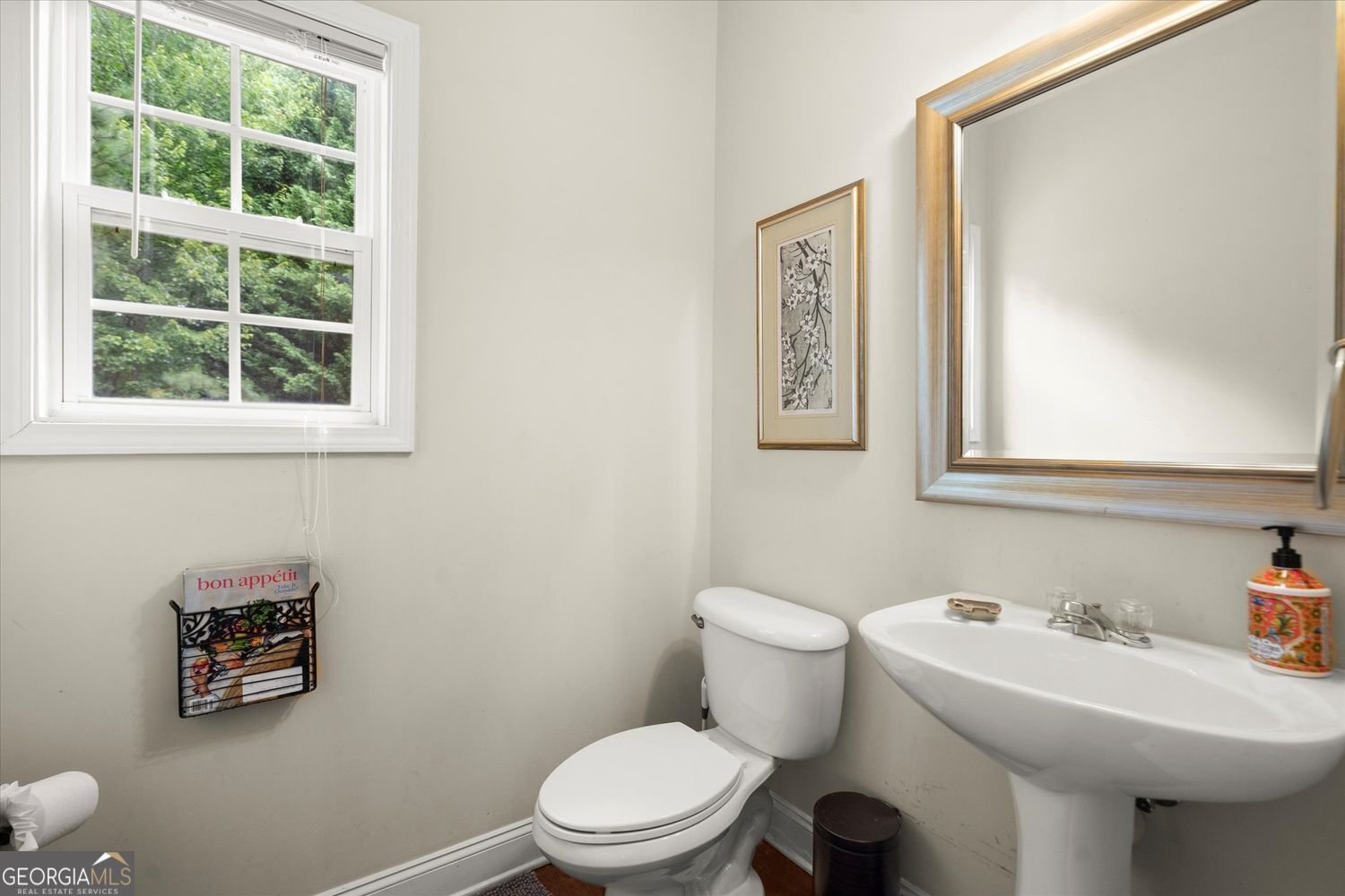 3070 Jardin Lane Kennesaw - 13