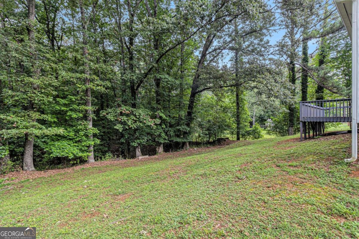 112 Laguna Springs Drive Woodstock - 28