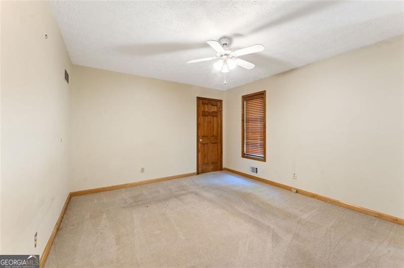 137 TRICKUM HILLS Drive Woodstock - 18