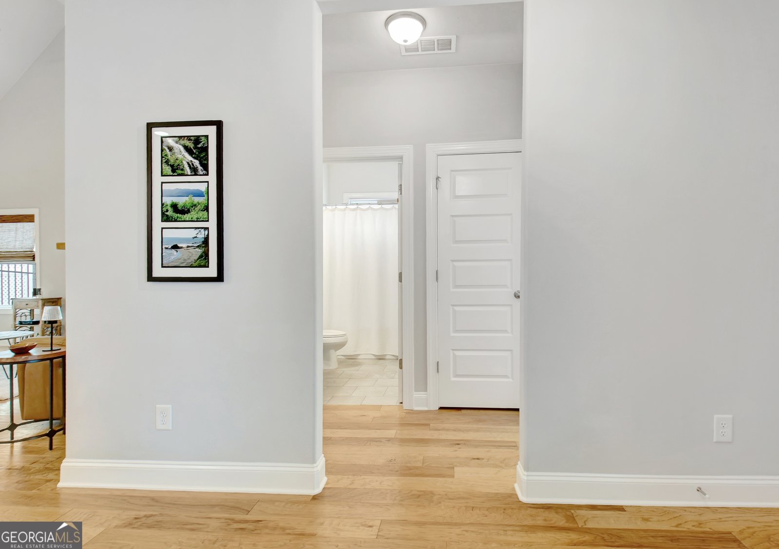 145 Duck Drive Senoia - 10