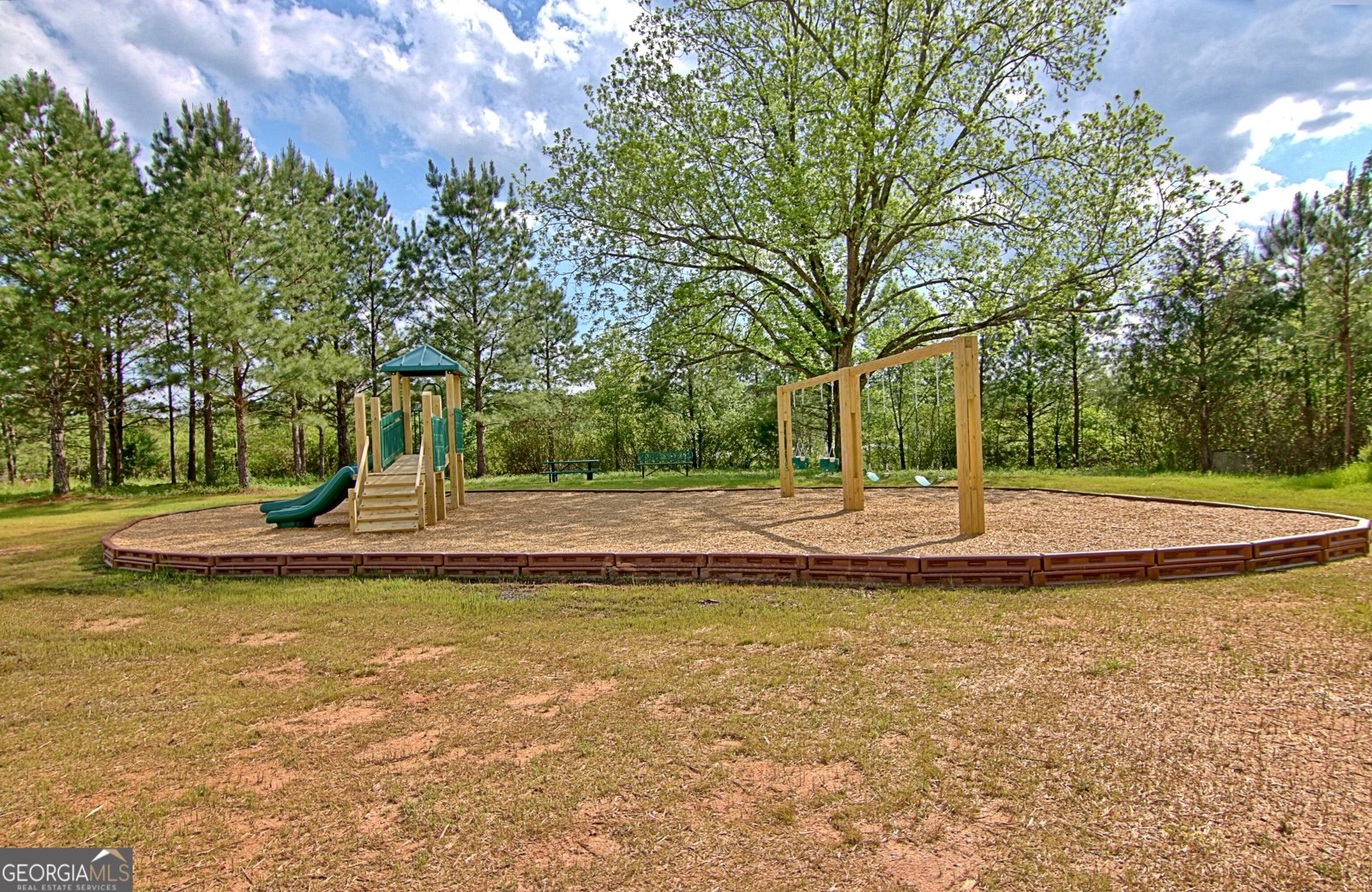 145 Duck Drive Senoia - 3