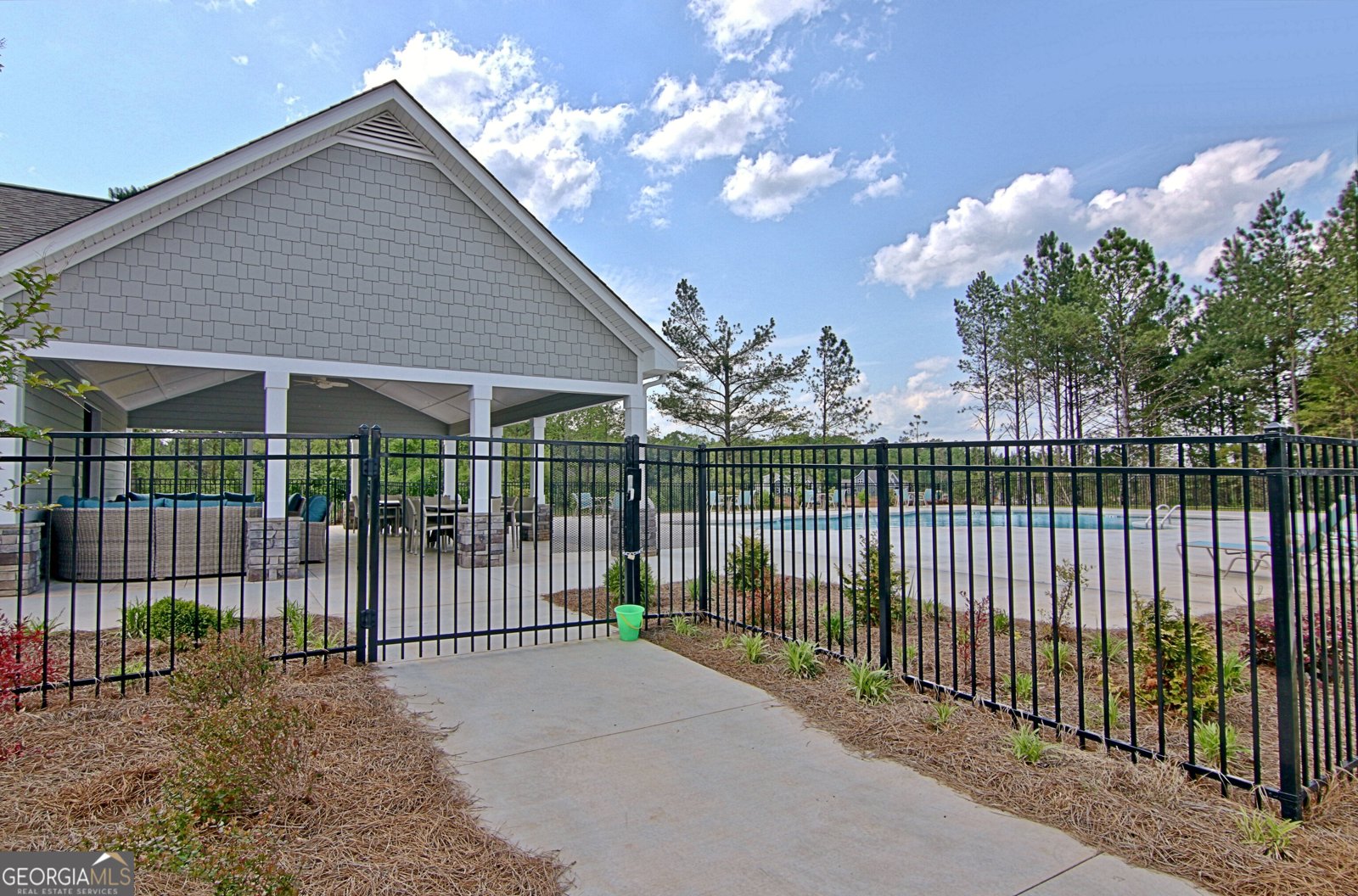 145 Duck Drive Senoia - 4